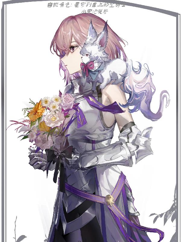 自机角色:星穹列车上的圣骑士